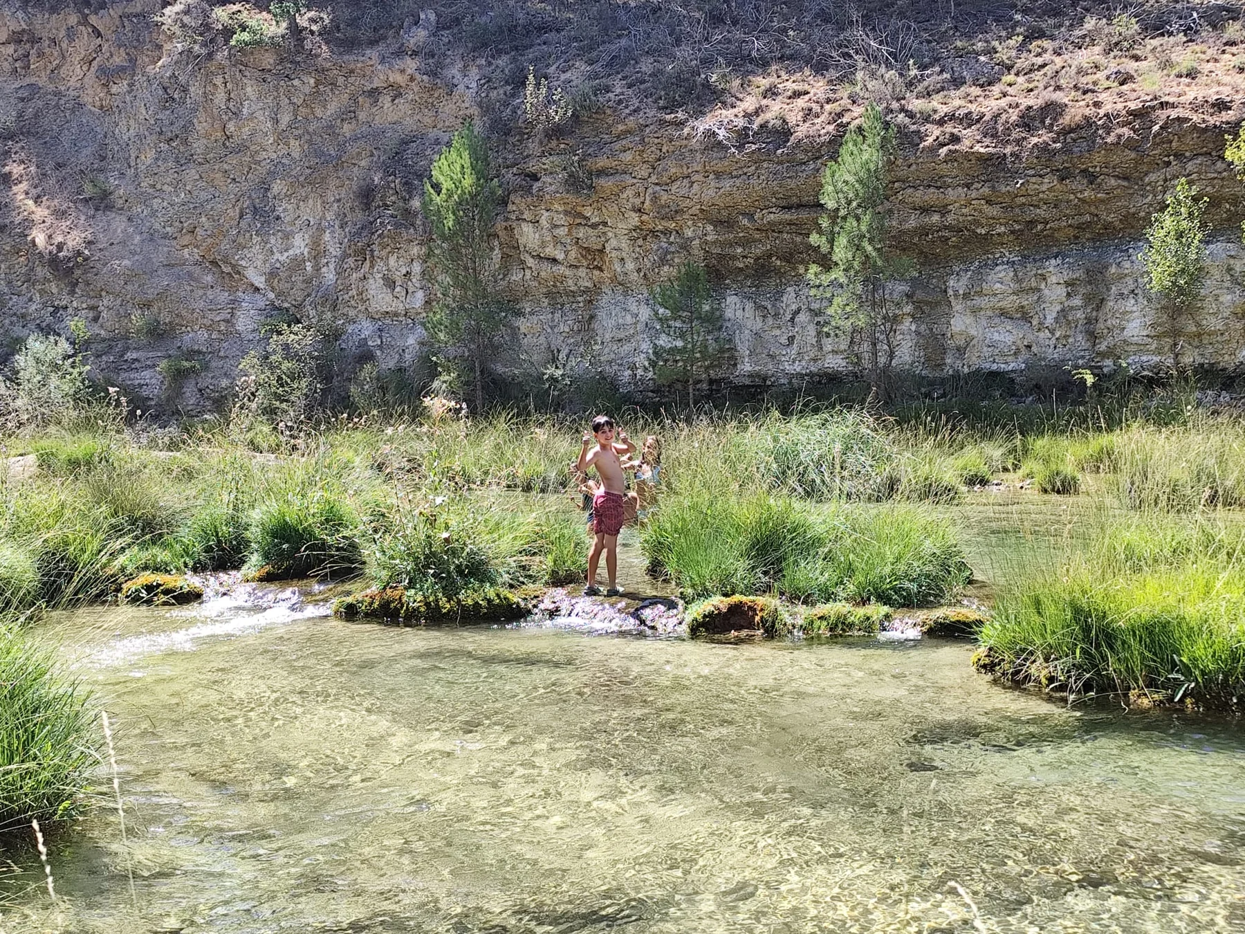 El río rodeado de bosque