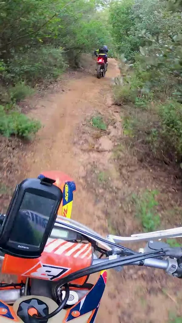 Recorrido de enduro por un sendero entre árboles