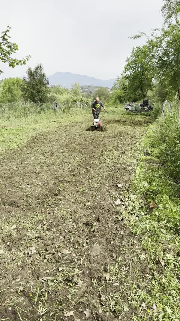 Preparando la tierra del huerto, rodeados de naturaleza
